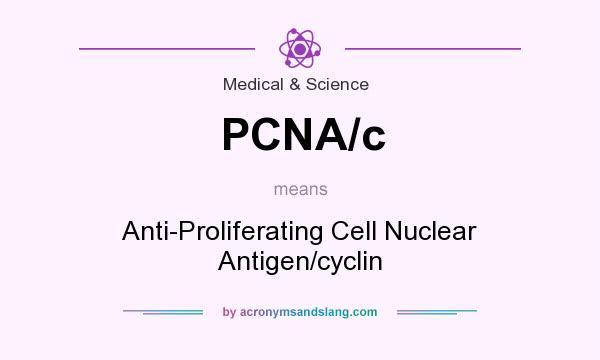 What does PCNA/c mean? It stands for Anti-Proliferating Cell Nuclear Antigen/cyclin