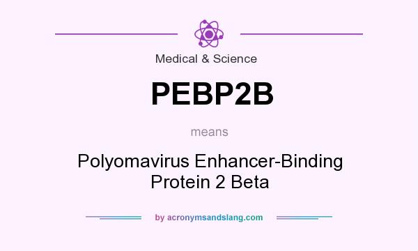 What does PEBP2B mean? It stands for Polyomavirus Enhancer-Binding Protein 2 Beta