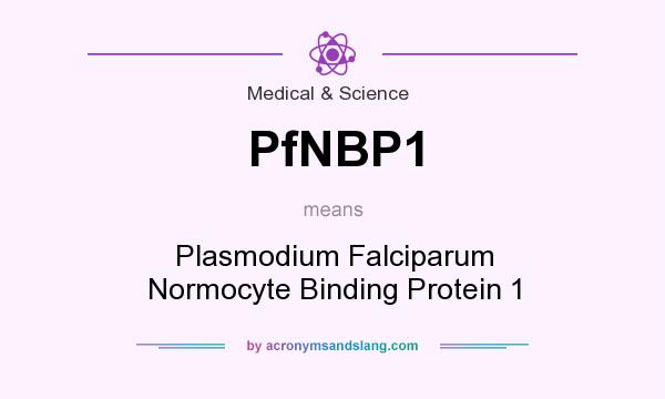 What does PfNBP1 mean? It stands for Plasmodium Falciparum Normocyte Binding Protein 1