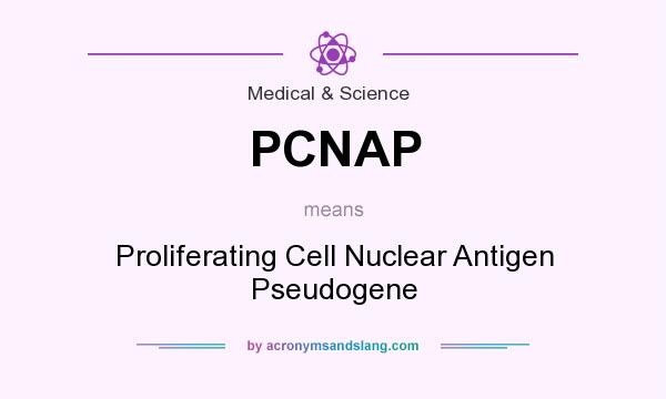 What does PCNAP mean? It stands for Proliferating Cell Nuclear Antigen Pseudogene