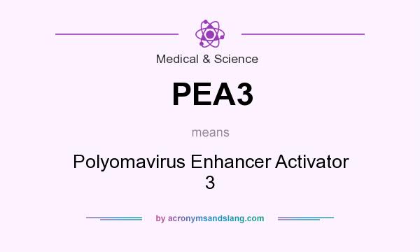 What does PEA3 mean? It stands for Polyomavirus Enhancer Activator 3
