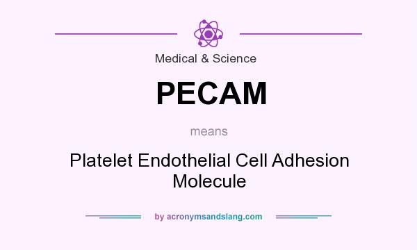 What does PECAM mean? It stands for Platelet Endothelial Cell Adhesion Molecule