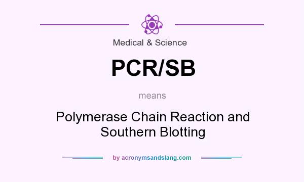 What does PCR/SB mean? It stands for Polymerase Chain Reaction and Southern Blotting