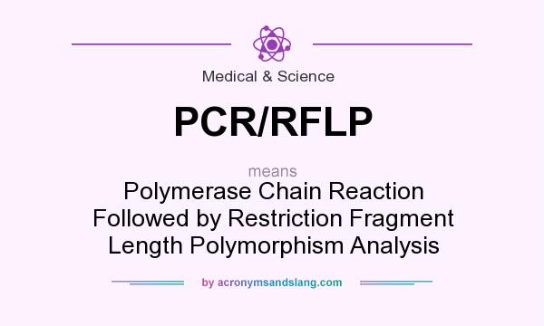 What does PCR/RFLP mean? It stands for Polymerase Chain Reaction Followed by Restriction Fragment Length Polymorphism Analysis