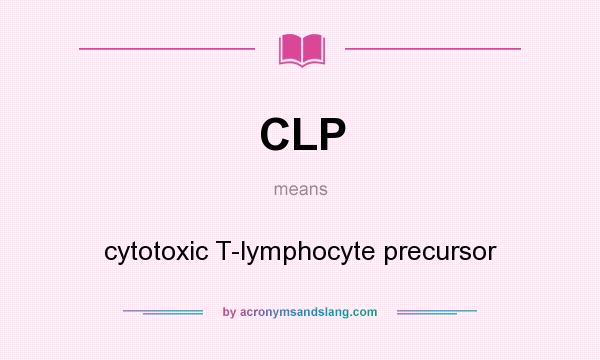 What does CLP mean? It stands for cytotoxic T-lymphocyte precursor