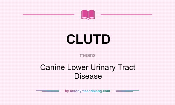 What does CLUTD mean? It stands for Canine Lower Urinary Tract Disease