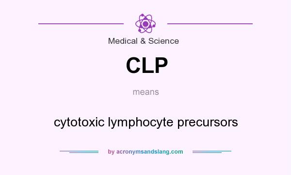 What does CLP mean? It stands for cytotoxic lymphocyte precursors