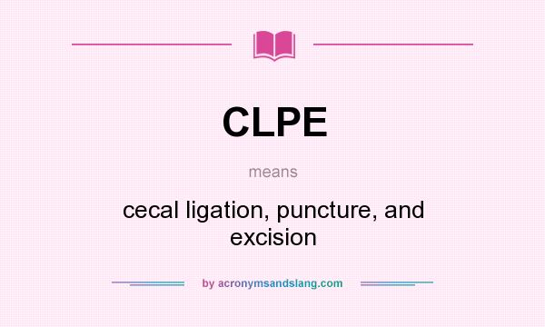 What does CLPE mean? It stands for cecal ligation, puncture, and excision