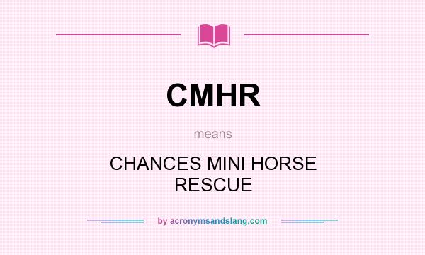 What does CMHR mean? It stands for CHANCES MINI HORSE RESCUE