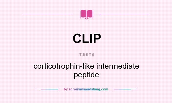 What does CLIP mean? It stands for corticotrophin-like intermediate peptide