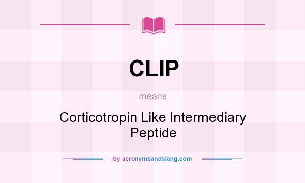 What does CLIP mean? It stands for Corticotropin Like Intermediary Peptide