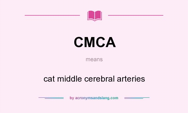 What does CMCA mean? It stands for cat middle cerebral arteries