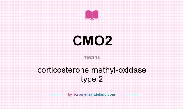 What does CMO2 mean? It stands for corticosterone methyl-oxidase type 2