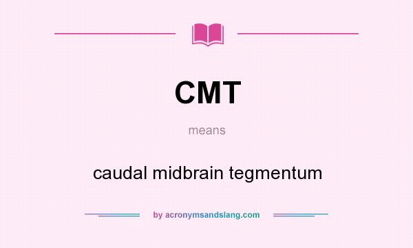What does CMT mean? It stands for caudal midbrain tegmentum