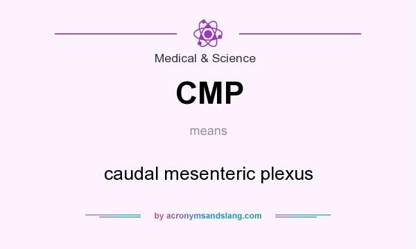 What does CMP mean? It stands for caudal mesenteric plexus