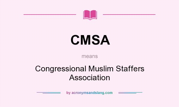 What does CMSA mean? It stands for Congressional Muslim Staffers Association