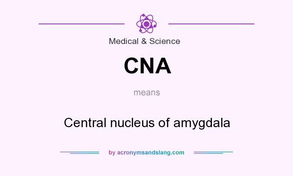 What does CNA mean? It stands for Central nucleus of amygdala