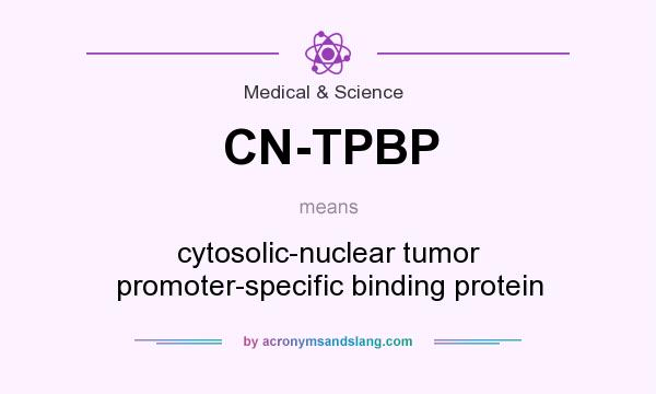 What does CN-TPBP mean? It stands for cytosolic-nuclear tumor promoter-specific binding protein