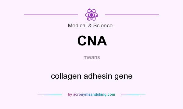 What does CNA mean? It stands for collagen adhesin gene