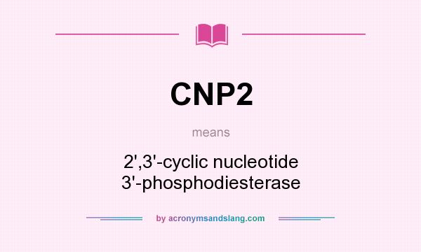 What does CNP2 mean? It stands for 2`,3`-cyclic nucleotide 3`-phosphodiesterase