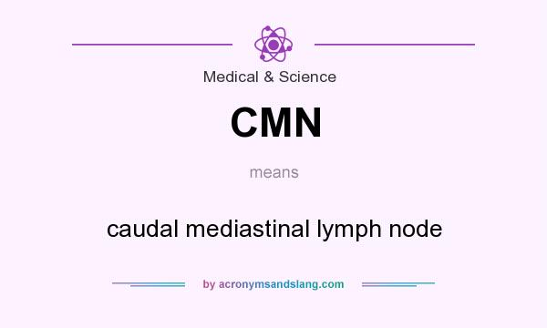 What does CMN mean? It stands for caudal mediastinal lymph node