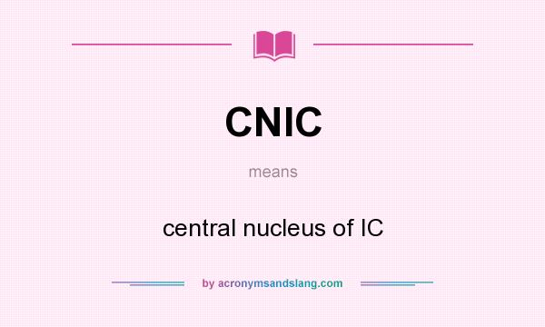 What does CNIC mean? It stands for central nucleus of IC