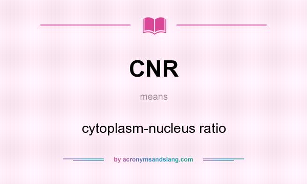 What does CNR mean? It stands for cytoplasm-nucleus ratio