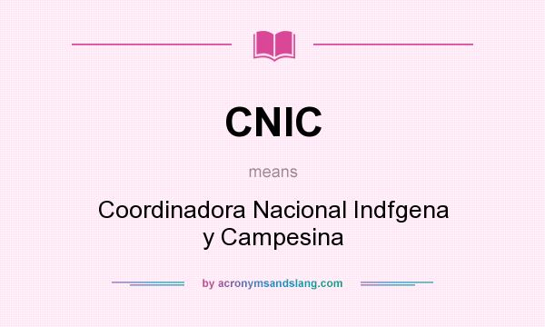 What does CNIC mean? It stands for Coordinadora Nacional Indfgena y Campesina