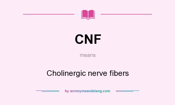What does CNF mean? It stands for Cholinergic nerve fibers