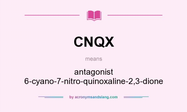 What does CNQX mean? It stands for antagonist 6-cyano-7-nitro-quinoxaline-2,3-dione