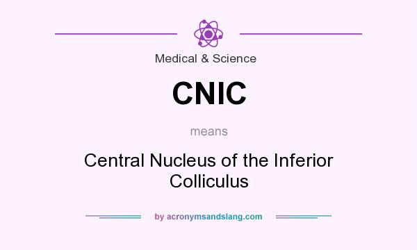 What does CNIC mean? It stands for Central Nucleus of the Inferior Colliculus