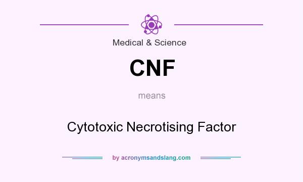 What does CNF mean? It stands for Cytotoxic Necrotising Factor