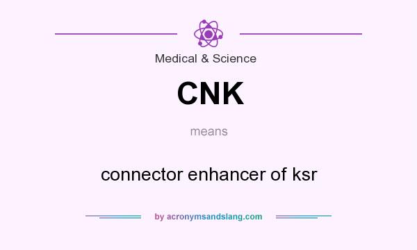 What does CNK mean? It stands for connector enhancer of ksr