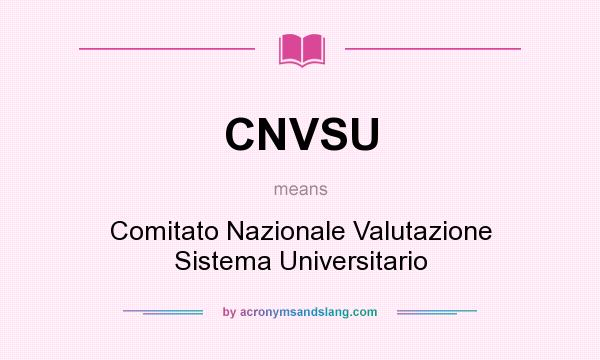 What does CNVSU mean? It stands for Comitato Nazionale Valutazione Sistema Universitario