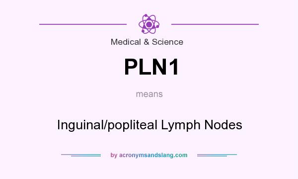 What does PLN1 mean? It stands for Inguinal/popliteal Lymph Nodes