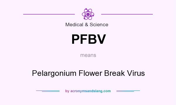 What does PFBV mean? It stands for Pelargonium Flower Break Virus