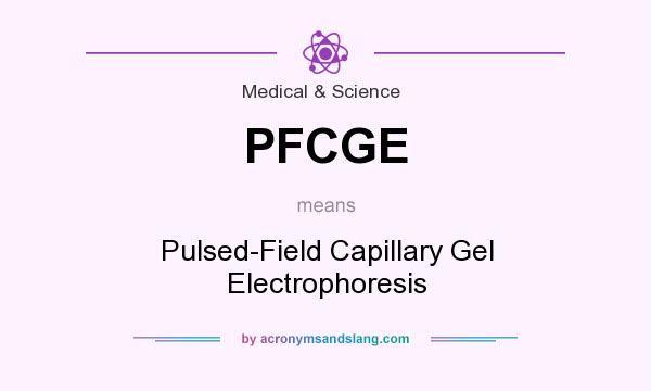What does PFCGE mean? It stands for Pulsed-Field Capillary Gel Electrophoresis