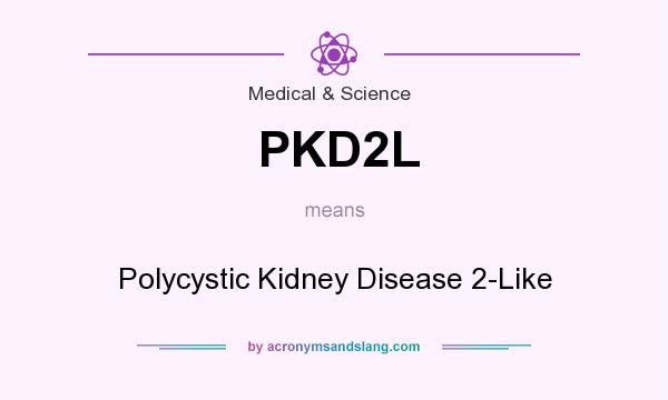 What does PKD2L mean? It stands for Polycystic Kidney Disease 2-Like