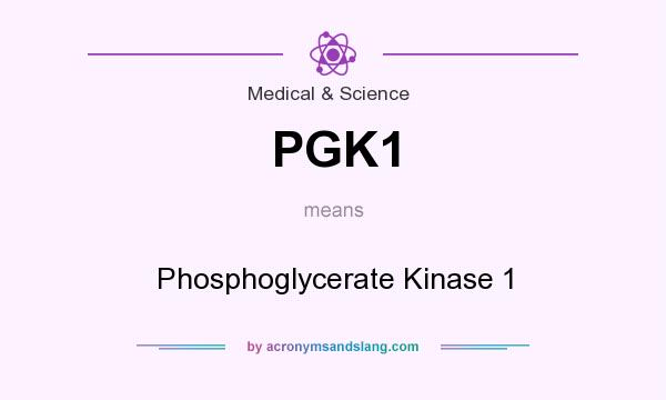 What does PGK1 mean? It stands for Phosphoglycerate Kinase 1