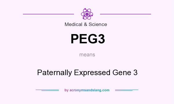 What does PEG3 mean? It stands for Paternally Expressed Gene 3
