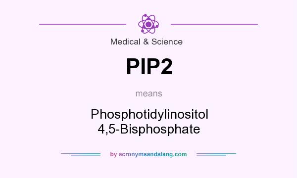 What does PIP2 mean? It stands for Phosphotidylinositol 4,5-Bisphosphate