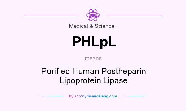 What does PHLpL mean? It stands for Purified Human Postheparin Lipoprotein Lipase