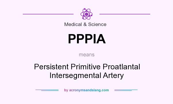 What does PPPIA mean? It stands for Persistent Primitive Proatlantal Intersegmental Artery