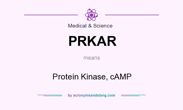 What does PRKAR mean? It stands for Protein Kinase, cAMP