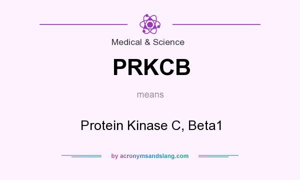 What does PRKCB mean? It stands for Protein Kinase C, Beta1