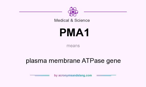 What does PMA1 mean? It stands for plasma membrane ATPase gene