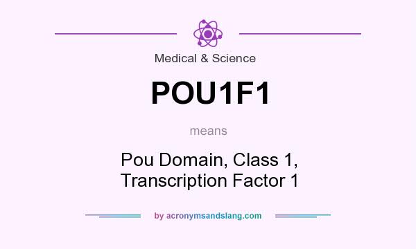 What does POU1F1 mean? It stands for Pou Domain, Class 1, Transcription Factor 1
