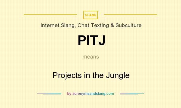 What does PITJ mean? It stands for Projects in the Jungle