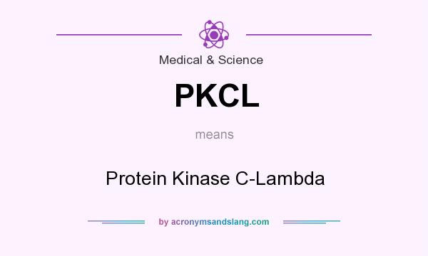 What does PKCL mean? It stands for Protein Kinase C-Lambda