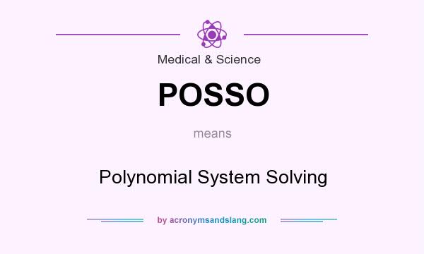 What does POSSO mean? It stands for Polynomial System Solving